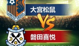 庄家爆料大宫松鼠视频,庄家爆料视频背后的真实故事